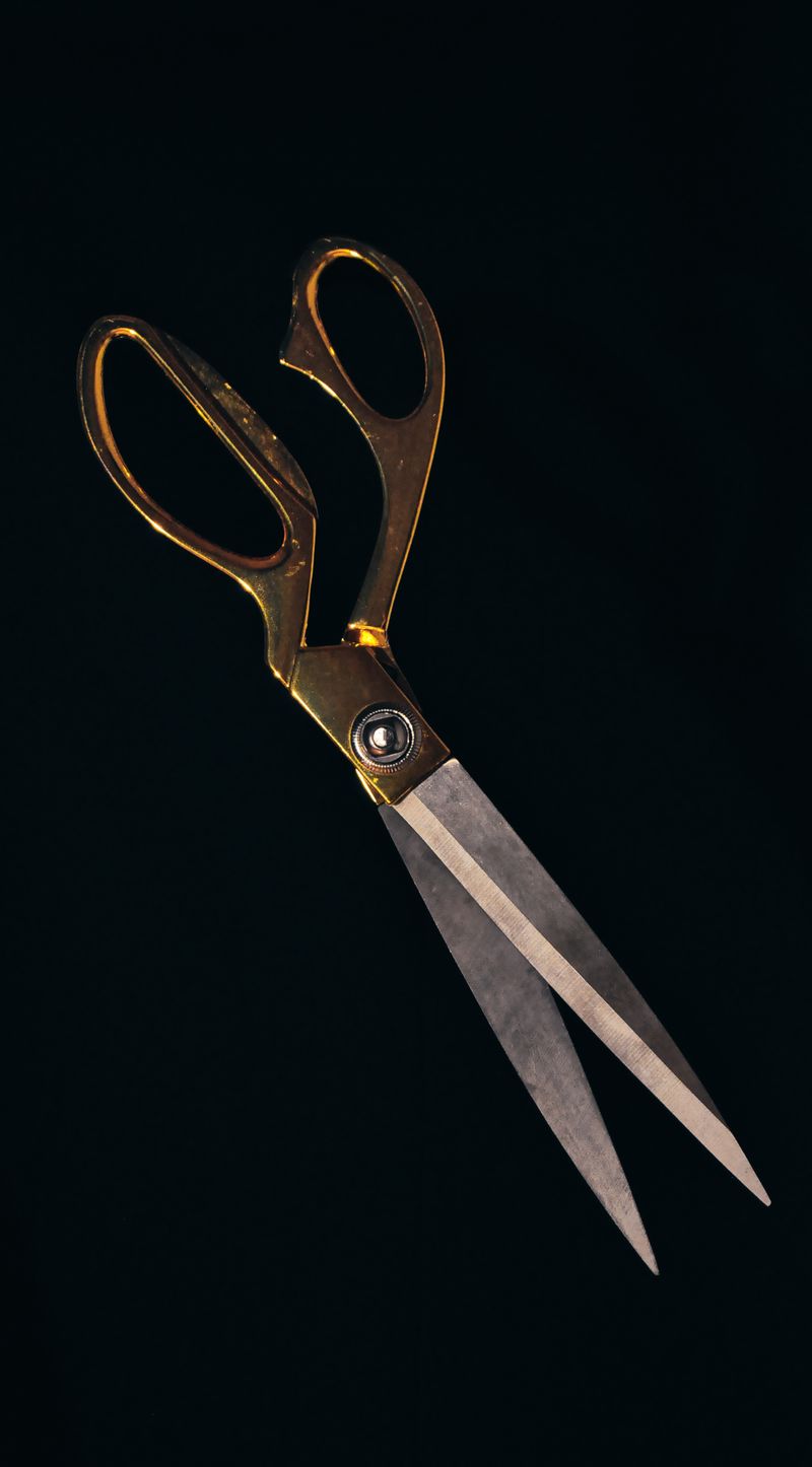 Professional Poultry Shears – Heavy-Duty Kitchen Scissors for Chicken, Meat & Bone Cutting, Multi-Purpose Food Shears